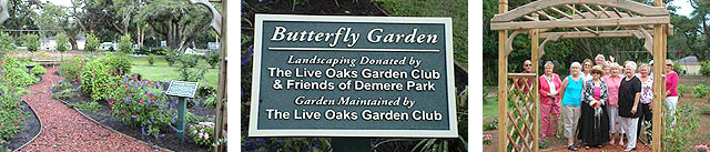 Butterfly Garden