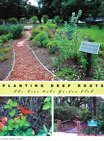 Planting Deep Roots—The Live Oaks Garden Club